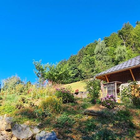 Chambre D'Hotes L'Aire Du Temps Savoyard Ugine Exteriér fotografie