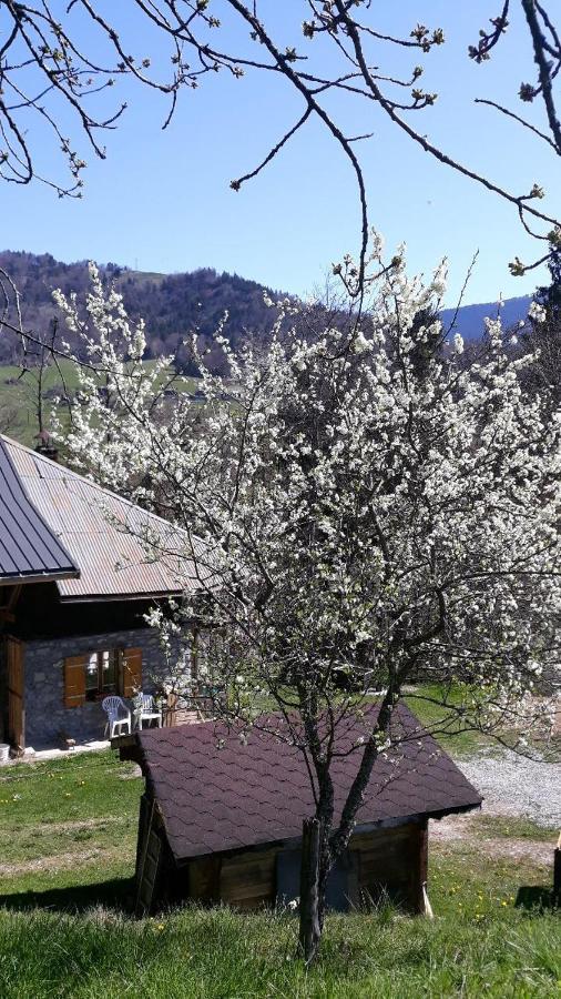 Chambre D'Hotes L'Aire Du Temps Savoyard Ugine Exteriér fotografie